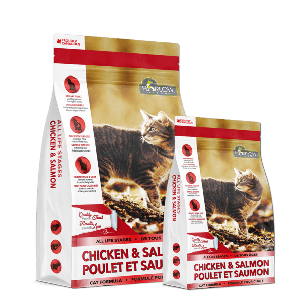 Prime Line Chicken & Salmon | Cat Formula