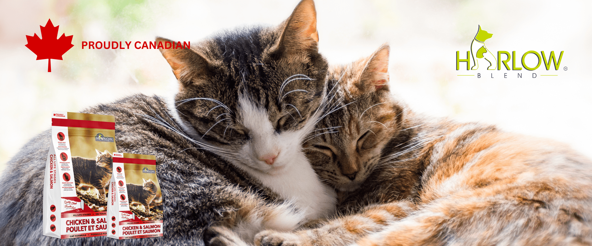 Prime Line Chicken & Salmon | Cat Formula 8 PROUDLY CANADIAN 12