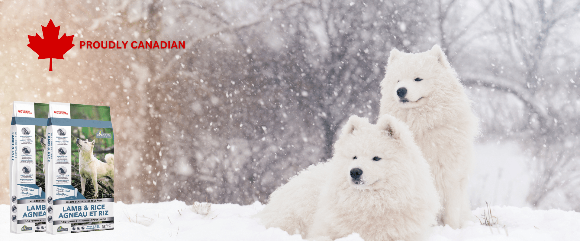 PROUDLY CANADIAN 1920 x 800 px 1