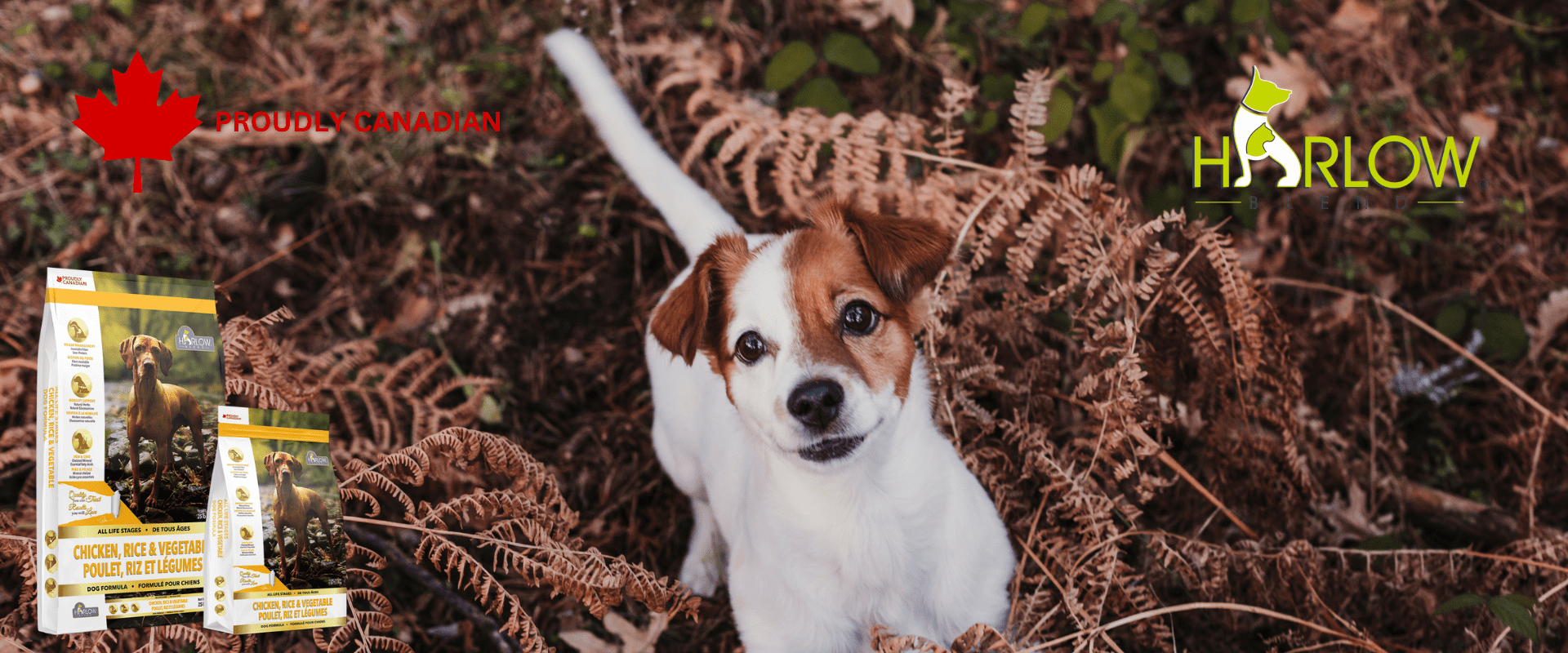 PROUDLY CANADIAN 1920 x 800 px 2