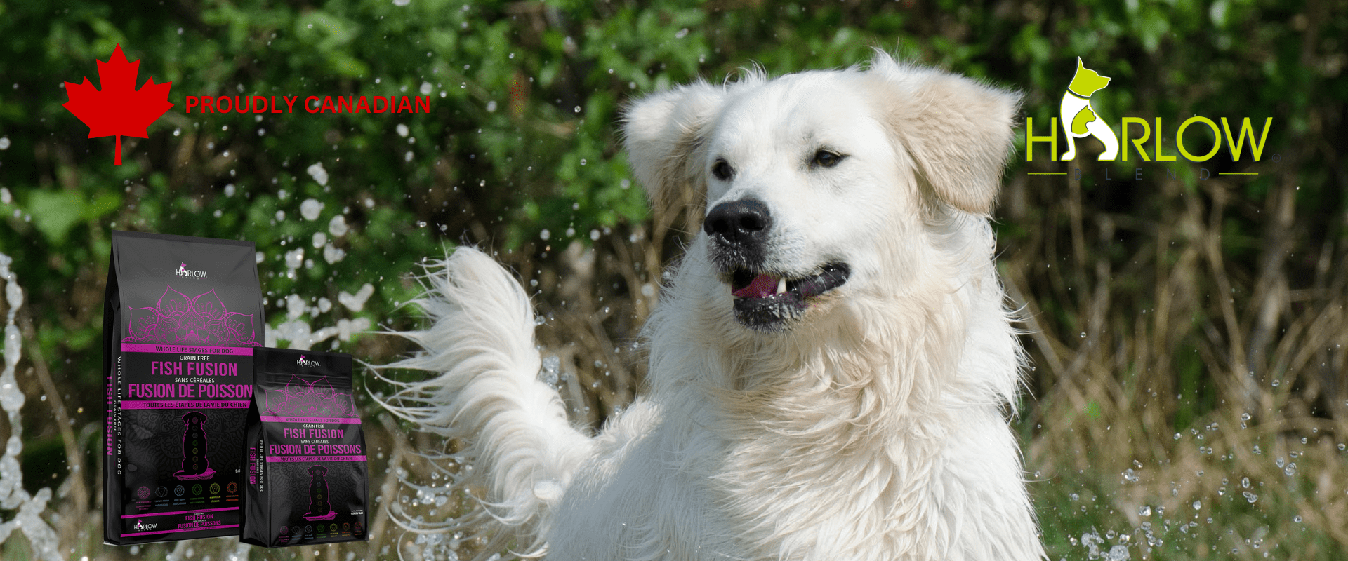 PROUDLY CANADIAN 1920 x 800 px 3