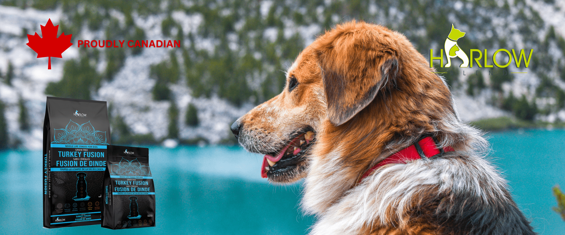 PROUDLY CANADIAN 1920 x 800 px 4