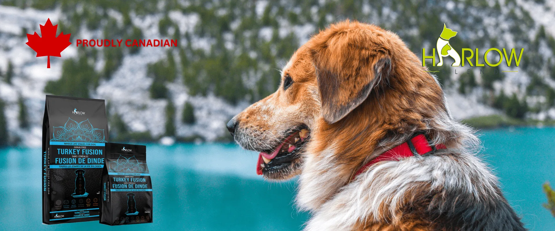 PROUDLY CANADIAN 1920 x 800 px 4
